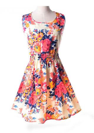 Sleeveless Chiffon  Floral Mini Dress