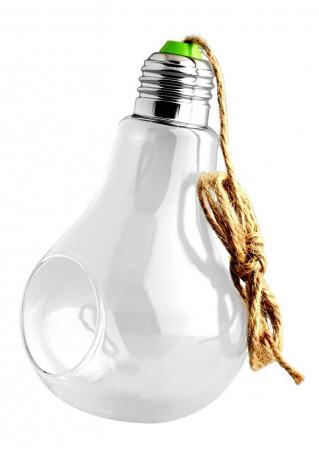 Light Bulb Shape Glass Hanging Plant Container