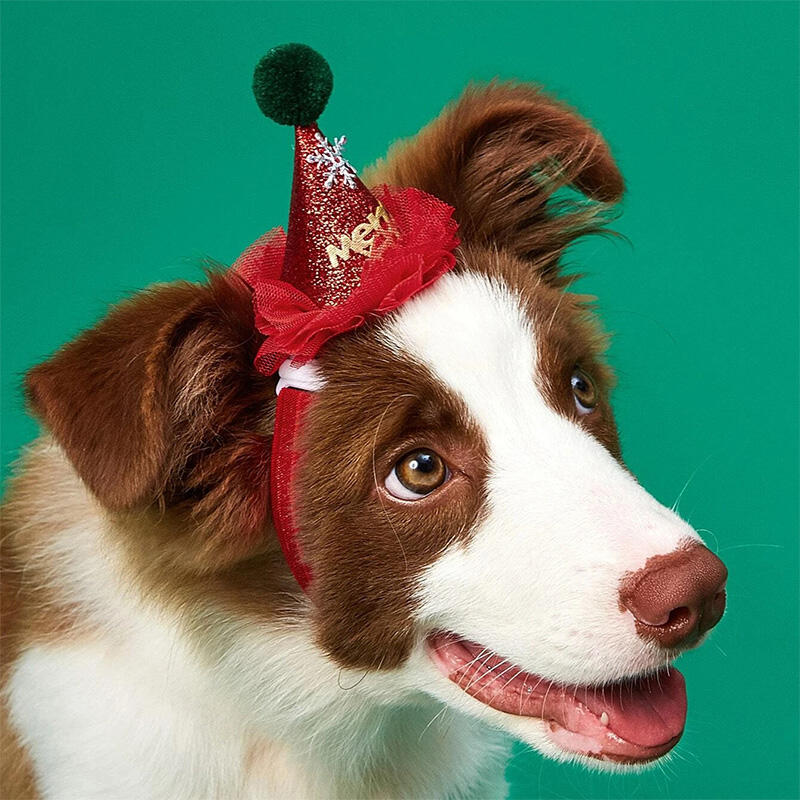 Pet Products Adjustable Pompom Ball Snowflake Pet Dog Christmas Hat in Green,Red. Size
Pet Products Adjustable Pompom Ball Snowflake Pet Dog Christmas Hat in Green,Red. Size