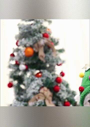 Pet Products 2Pcs Christmas Santa Claus Reindeer Pet Dog Hat And Scarf Set in Green. Size
Pet Products 2Pcs Christmas Santa Claus Reindeer Pet Dog Hat And Scarf Set in Green. Size