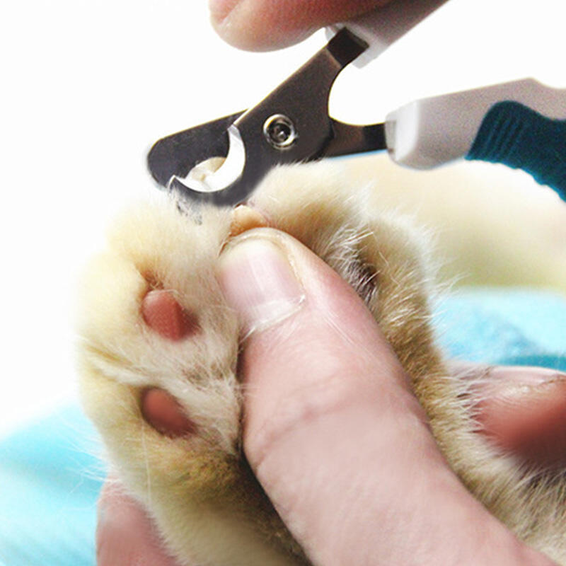 

Pet Nail Clippers Claw Trimmer, Blue, 468110