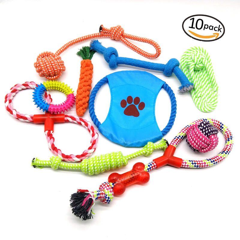 

Pet Products 10Pcs Pet Disc Training Props. Size, Pattern1