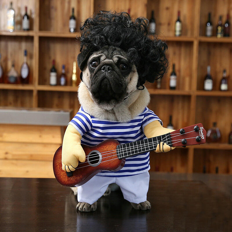 

Pet Products Pet Guitarist Funny Costume in Blue. Size