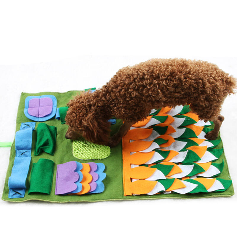 

Pet Products Creative Pet Sniff Training Blanket. Size, Green