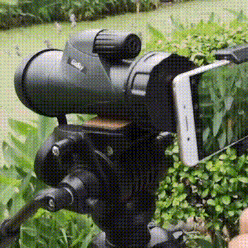 

High Definition Monocular Telescope And Smartphone Holder, Black, 475971