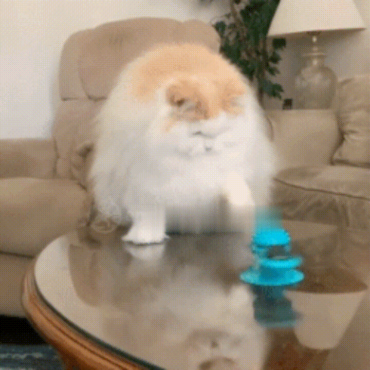 

Pet Products Interactive Windmill Pet Cat Toy in Lake Blue. Size