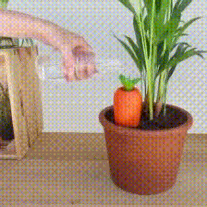 Carrot Self-Watering Device