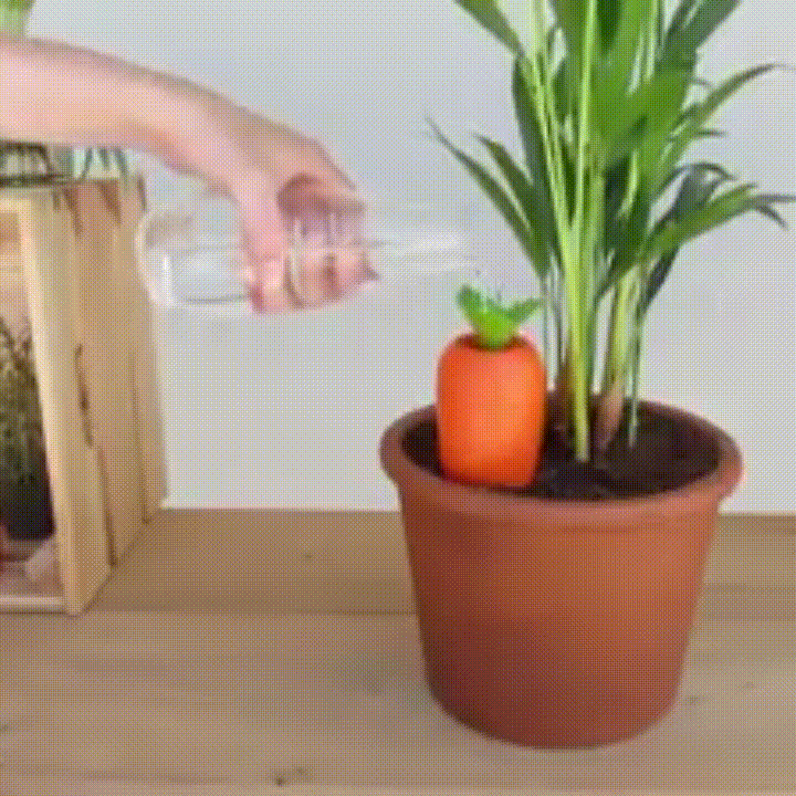 

Carrot Self-Watering Device, Orange, 482050