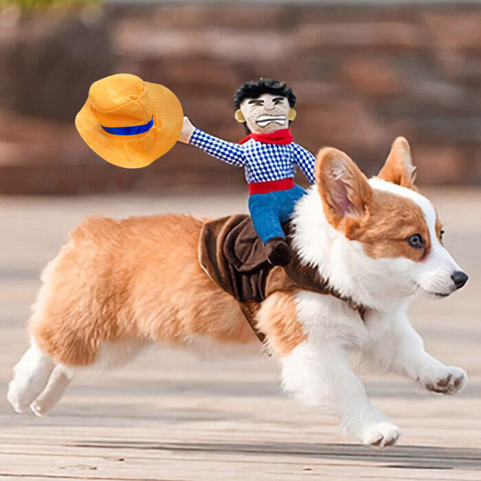 

Cowboy Rider Pet Dog Costume, Multicolor, 479736