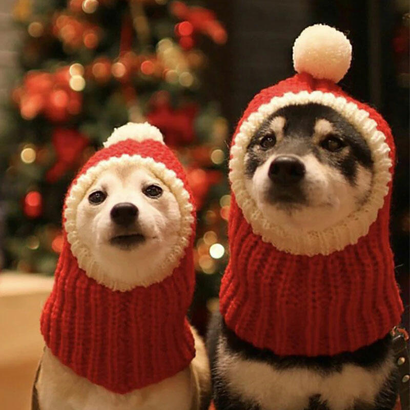 

Pet Products Winter Warm Knitted Puppy Dog Cat Santa Hat in Red. Size