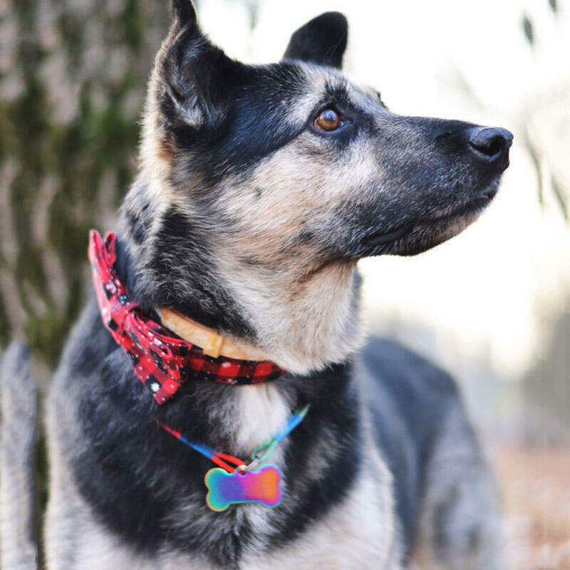 

Christmas Buffalo Plaid Snowflake Bowknot Adjustable Pet Collar, Red, 486551