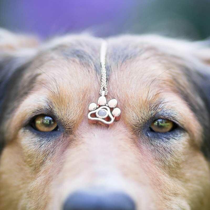

Pet Paw Alloy Pendant Necklace, Gold;silver;rose gold, 488057