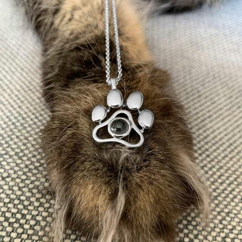 Pet Paw Alloy Pendant Necklace