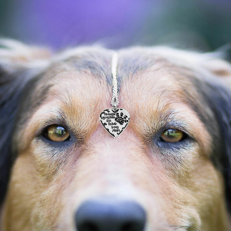 

Necklaces Creative Dog Paw Rhinestone Heart Pendant Necklace in Silver. Size