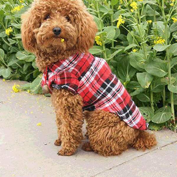 

Pet Products Christmas Buffalo Plaid Button Pet Dog Shirt in Red. Size: M