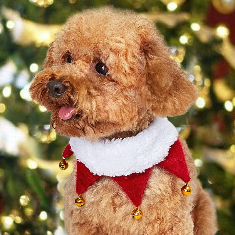 

Pet Products Pet Dog Christmas Decorative Collar Scarf in Red. Size: ,M