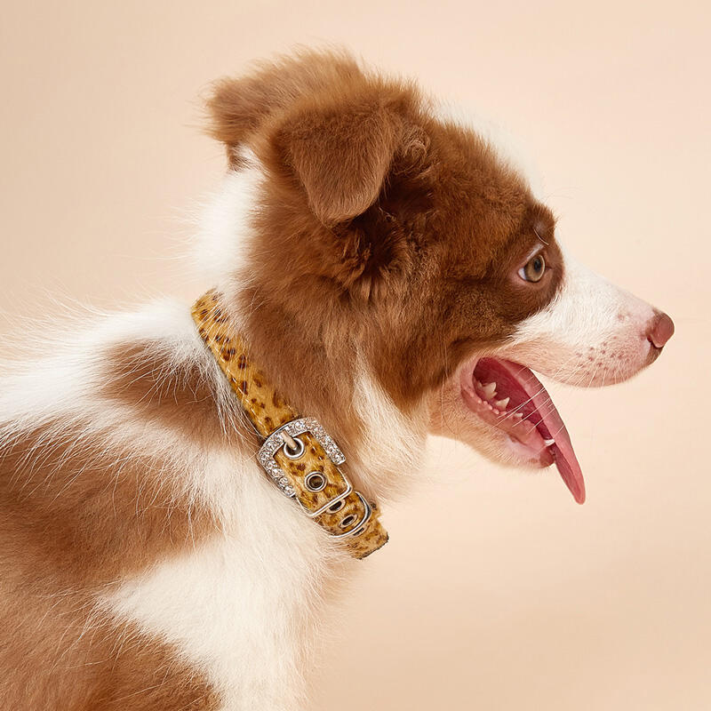 

Pet Products Leopard Sequined Buckle Strap Pet Collar in Yellow. Size