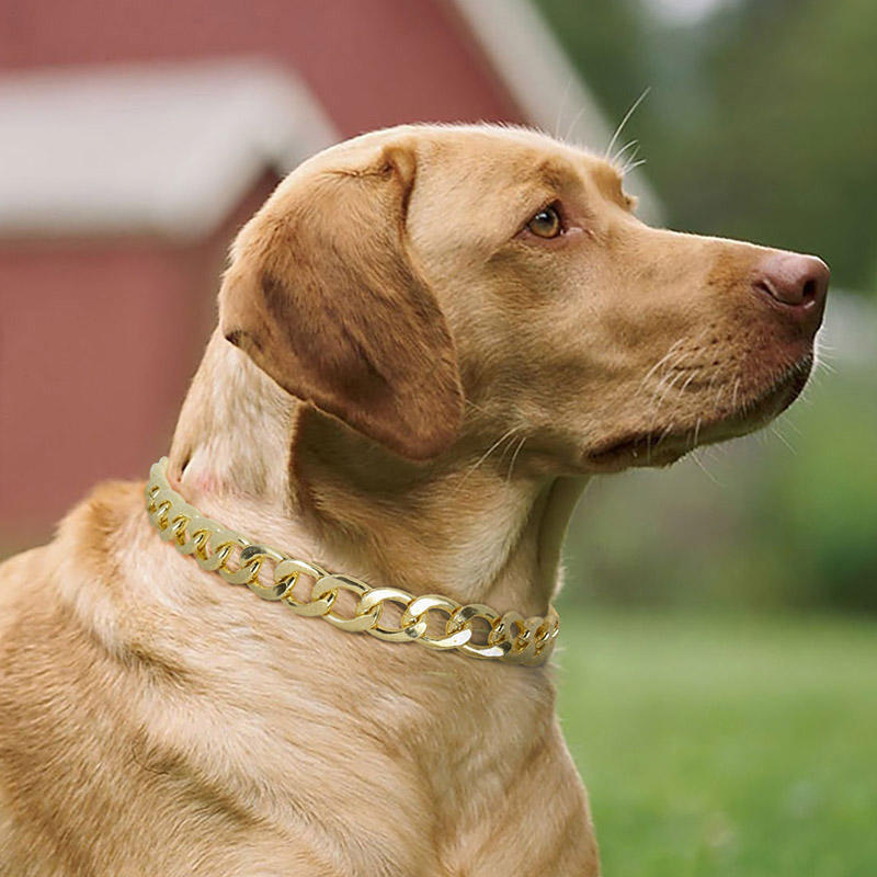 

Pet Products Bling Lightweight Plastic Adjustable Pet Necklace in Gold. Size