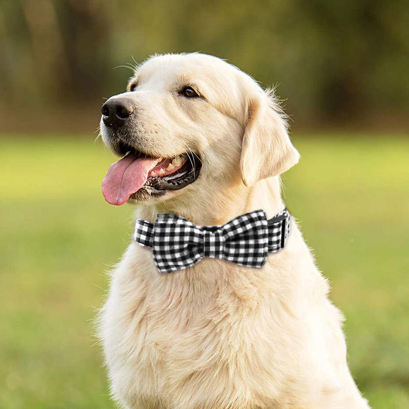 

Pet Products Plaid Bowtie Adjustable Pet Dog Neck Collor in Black. Size