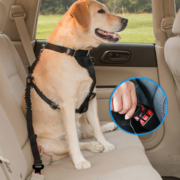 

Pet Products Adjustable Pet Dog Car Seat Belt in Black. Size