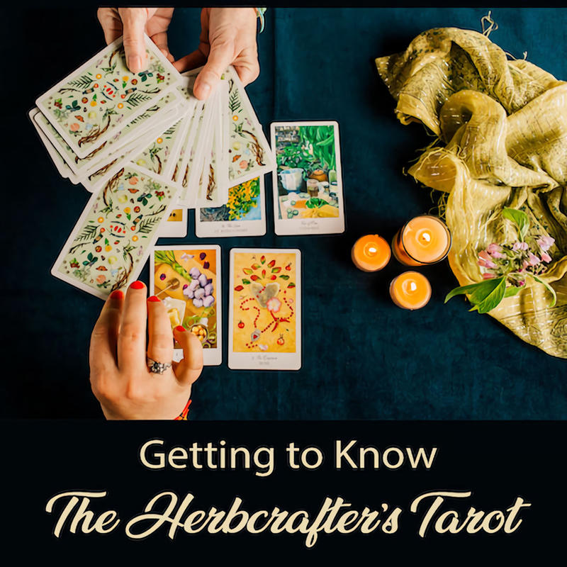 

The Herbcrafter's Tarot Deck in Multicolor. Size