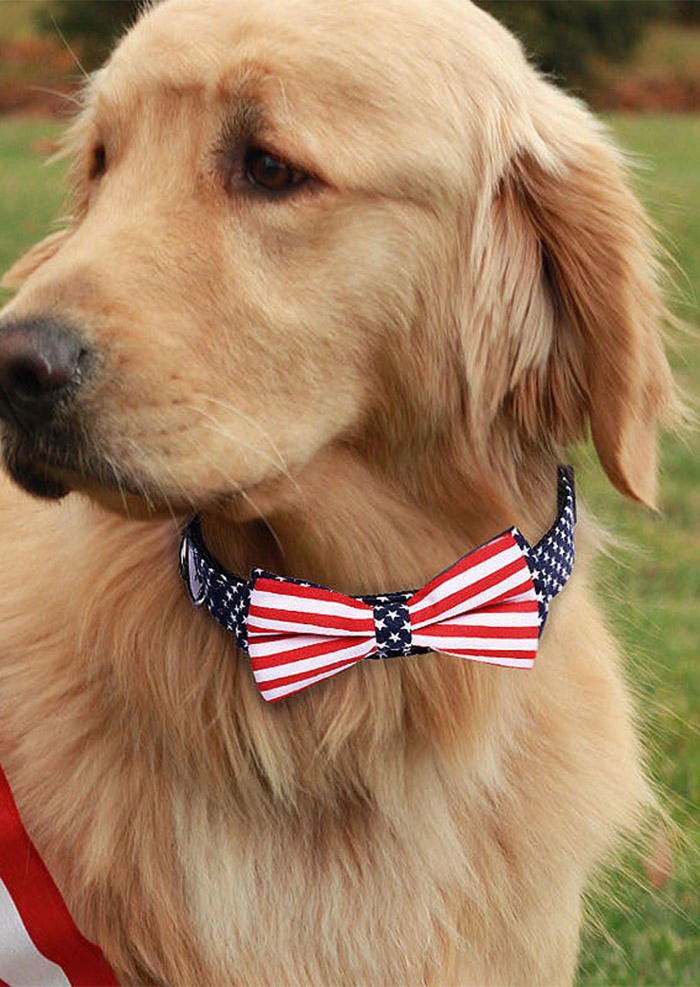 

Sport Product American Flag Bowknot Pet Dog Collar in Blue. Size