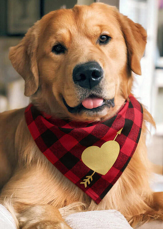 

Pet Products Plaid Arrow Through The Heart Pet Triangle Scarf in Red. Size