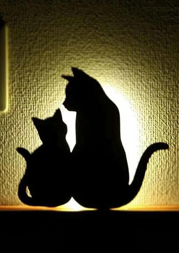

Cute Cat Shadow Night Light Support Voice Controll in Pattern1,Pattern2,Pattern3,Pattern4. Size