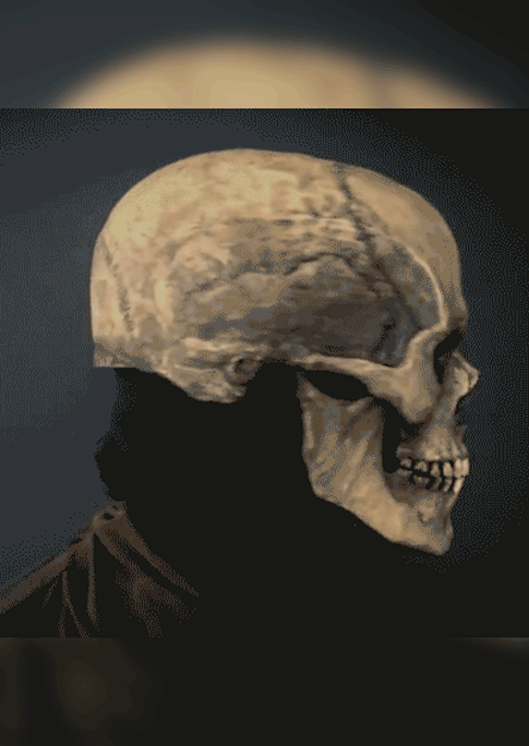 

Cool Gadgets Full Head Skull Mask With Movable Jaw in Gray. Size
