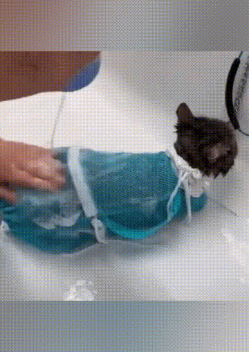 

Pet Products Multi-functional Pet Grooming Bath Bag in Green. Size