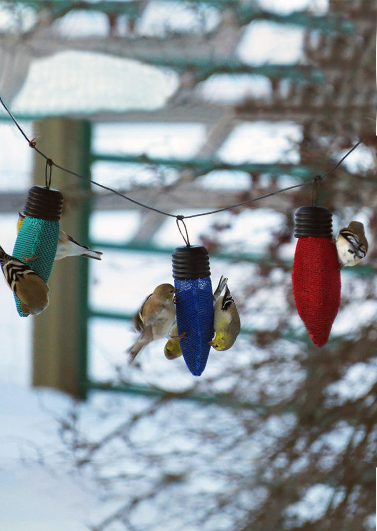Outdoor Hanging Bird Feeder Ornament