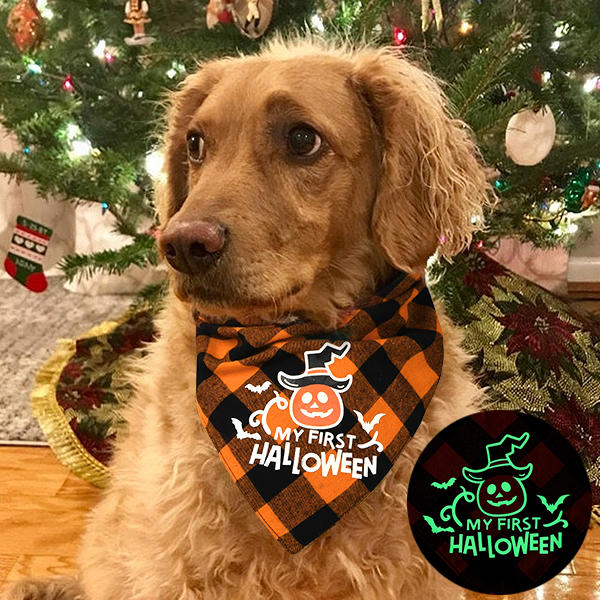 My First Halloween Plaid Pet Triangle Scarf