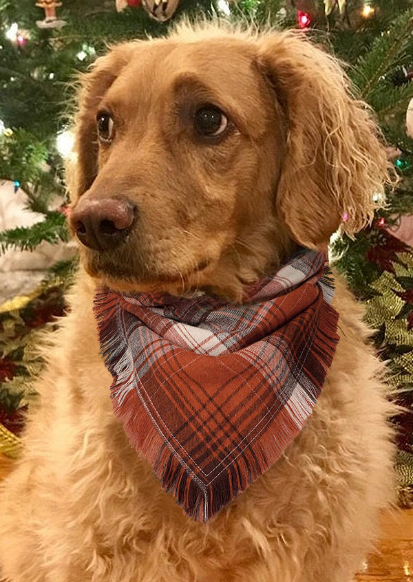 

Pet Products Plaid Tassel Pet Triangle Scarf in Red. Size