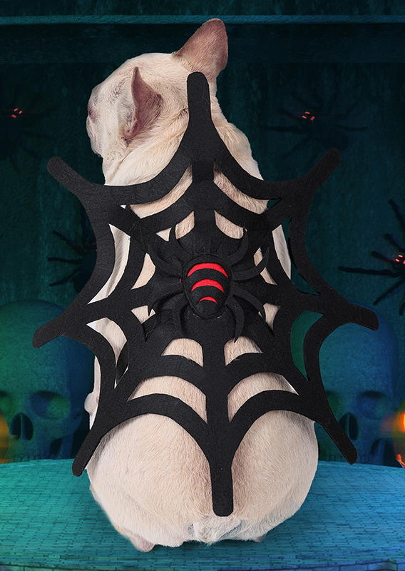 

Pet Products Halloween Spider Web Pet Costume in Black. Size