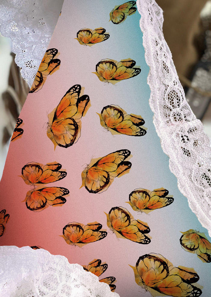 

Panties Butterfly Gradient Lace Splicing Panties in Multicolor. Size: L,M,,XL